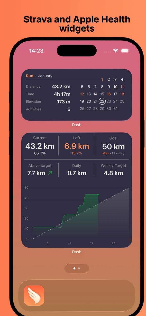 Dash widgets overview